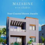 img_1cd24783-5e2f-4780-a270-813df0dd127b